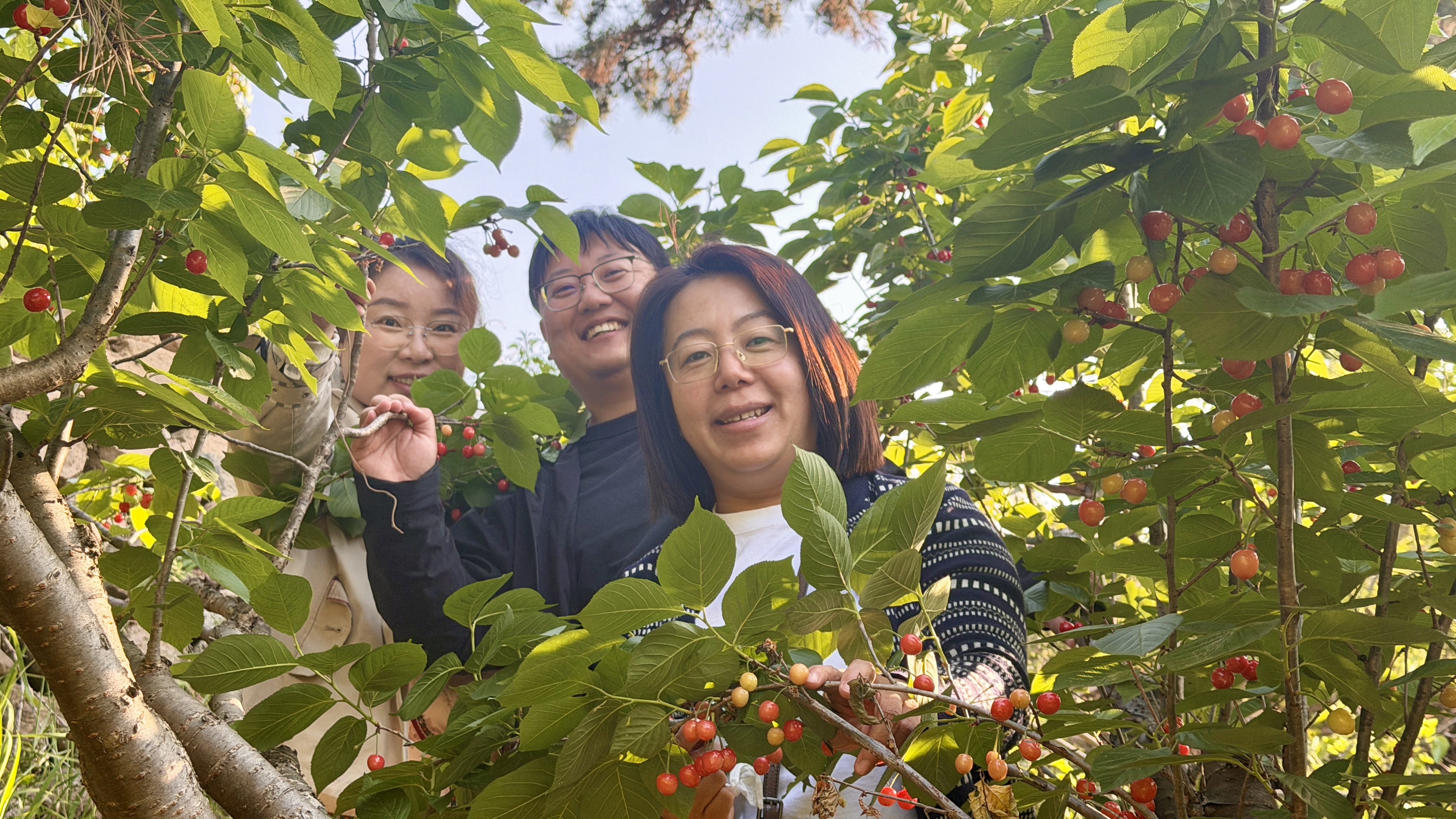 微信图片_20260509191442_6986_20 微信图片_20260509191442_6986_20.jpg